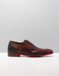 Floris van Bommel sfm-30238