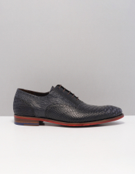 Floris van Bommel sfm-30238