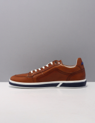 Floris van Bommel Sfm-10202