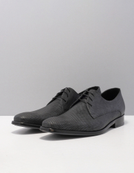 Floris van Bommel Sfm-30261