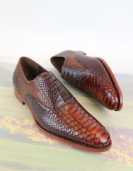 Floris van Bommel sfm-30238